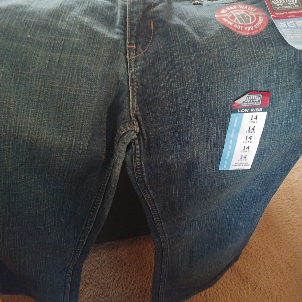 Ladies pants